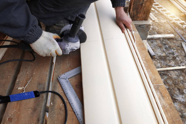 Best Siding Painting and Refinishing  in Oronoque, CT
